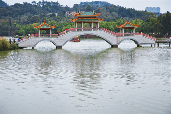 肇慶戰(zhàn)略咨詢(xún)公司如何助力企業(yè)分析市場(chǎng)趨勢(shì)與機(jī)遇？